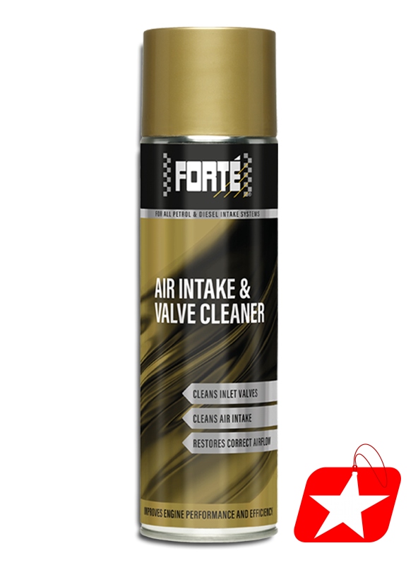 FORTÉ AIR INTAKE & VALVE CLEANER