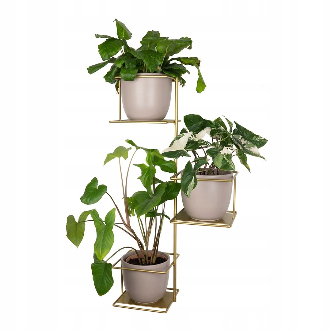 Držiak Na Kvetináč Džungľa 2XL nástenný závesný glamour zlatý na stenu s veľkými kvetmi