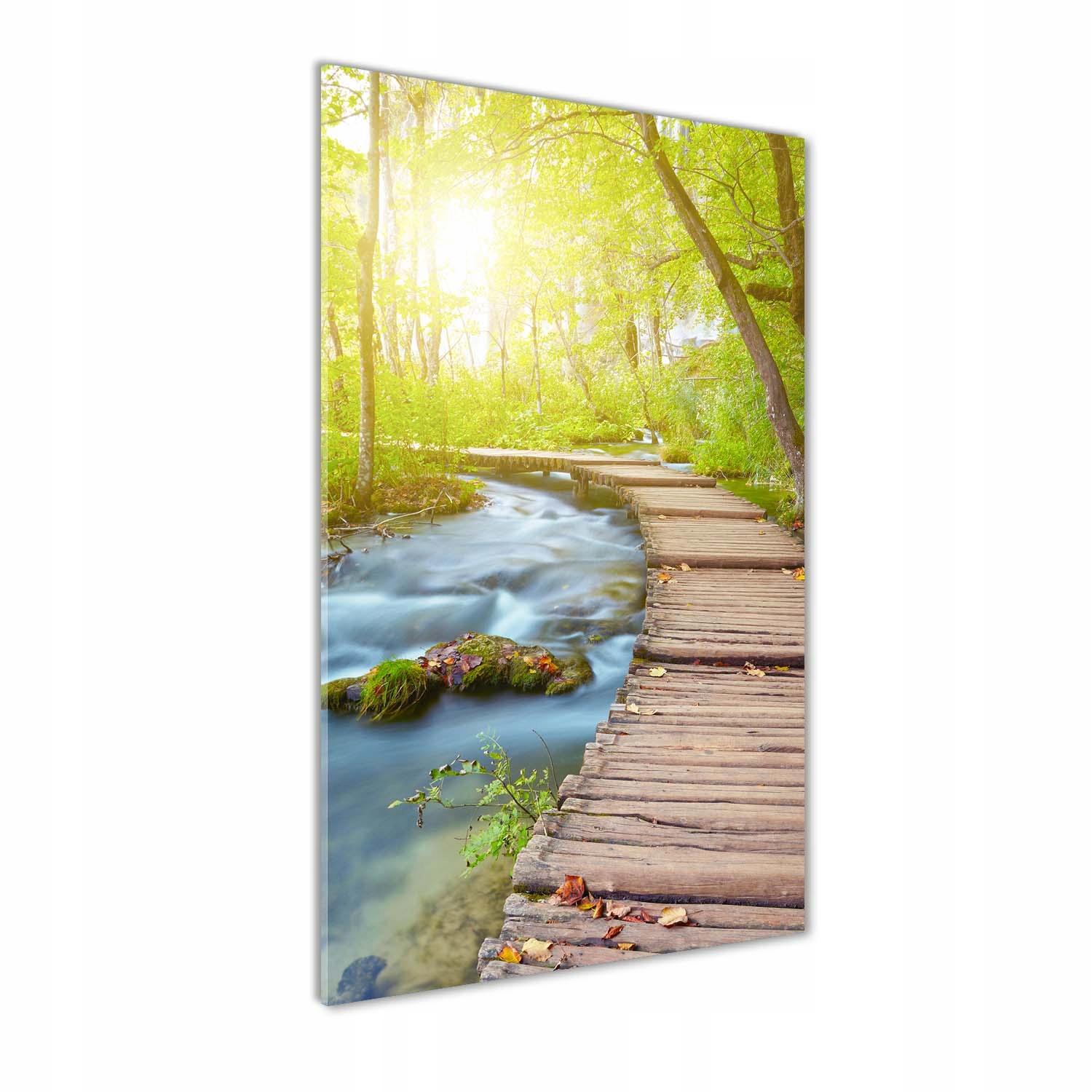 

Foto obraz szkło akrylowe Ścieżka w lesie 70x140cm