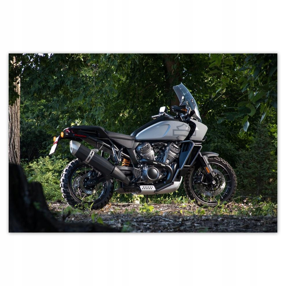 

Plakat Naklejka 60x40 Harley Davidson Motocykl