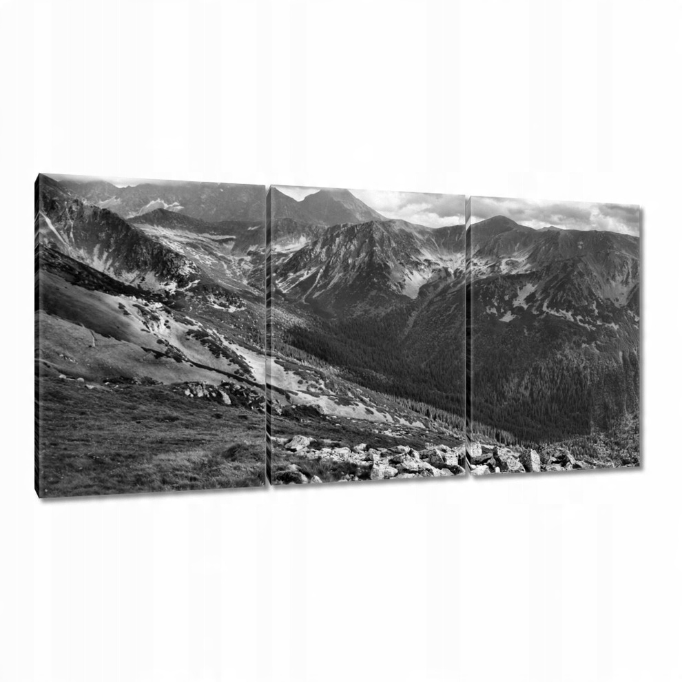 

Obrazy 120x60 Tatry Polskie góry Widok