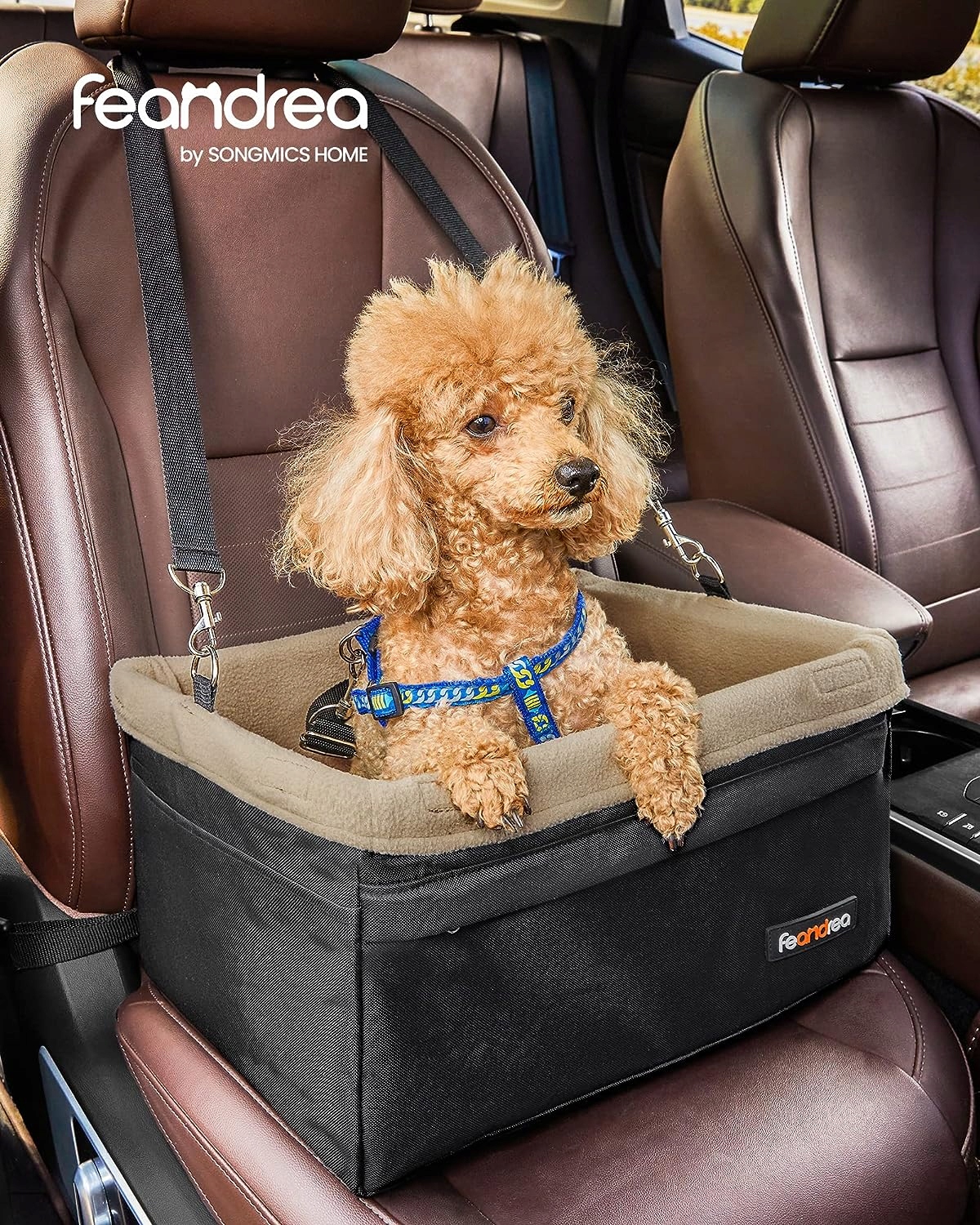 Переноска для собак, коврик для сиденья, ремень безопасности, размер S/M