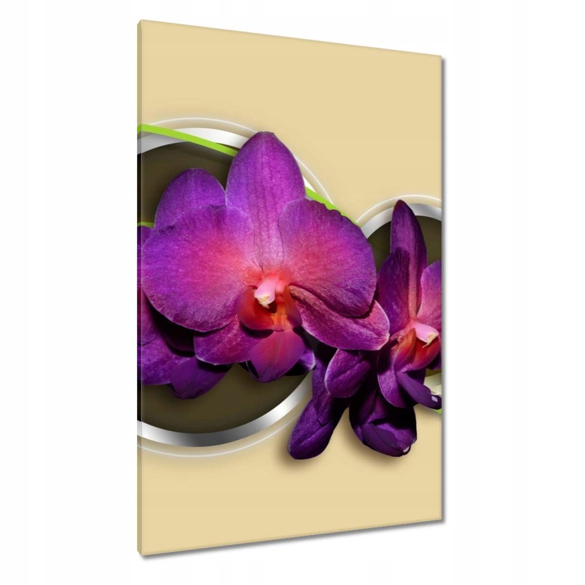 Obrazy 80x120 Orchideje