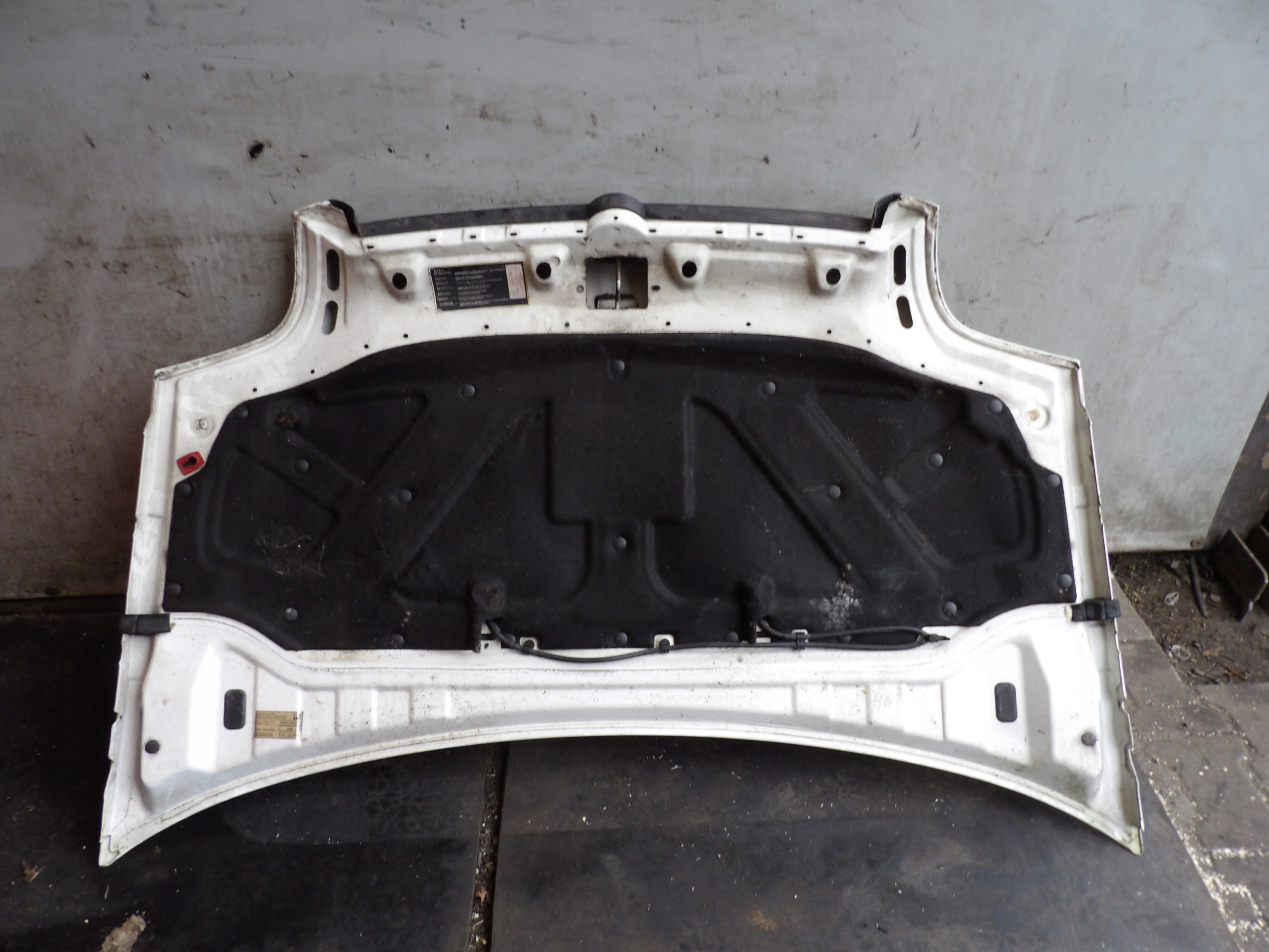 Fiat Doblo e cofano lak. 249