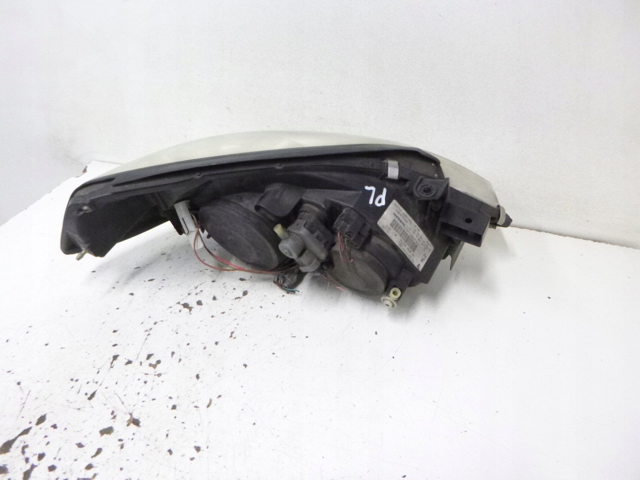 light front Nissan Primera P12 2002r. HELLA 1EJ 238 010-01