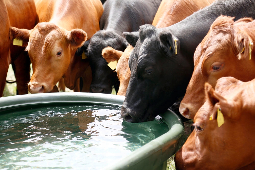 POIDŁO PASTWISKOWE WANNOWE Z PŁYWAKIEM KERBL 1000L Kod producenta 223624