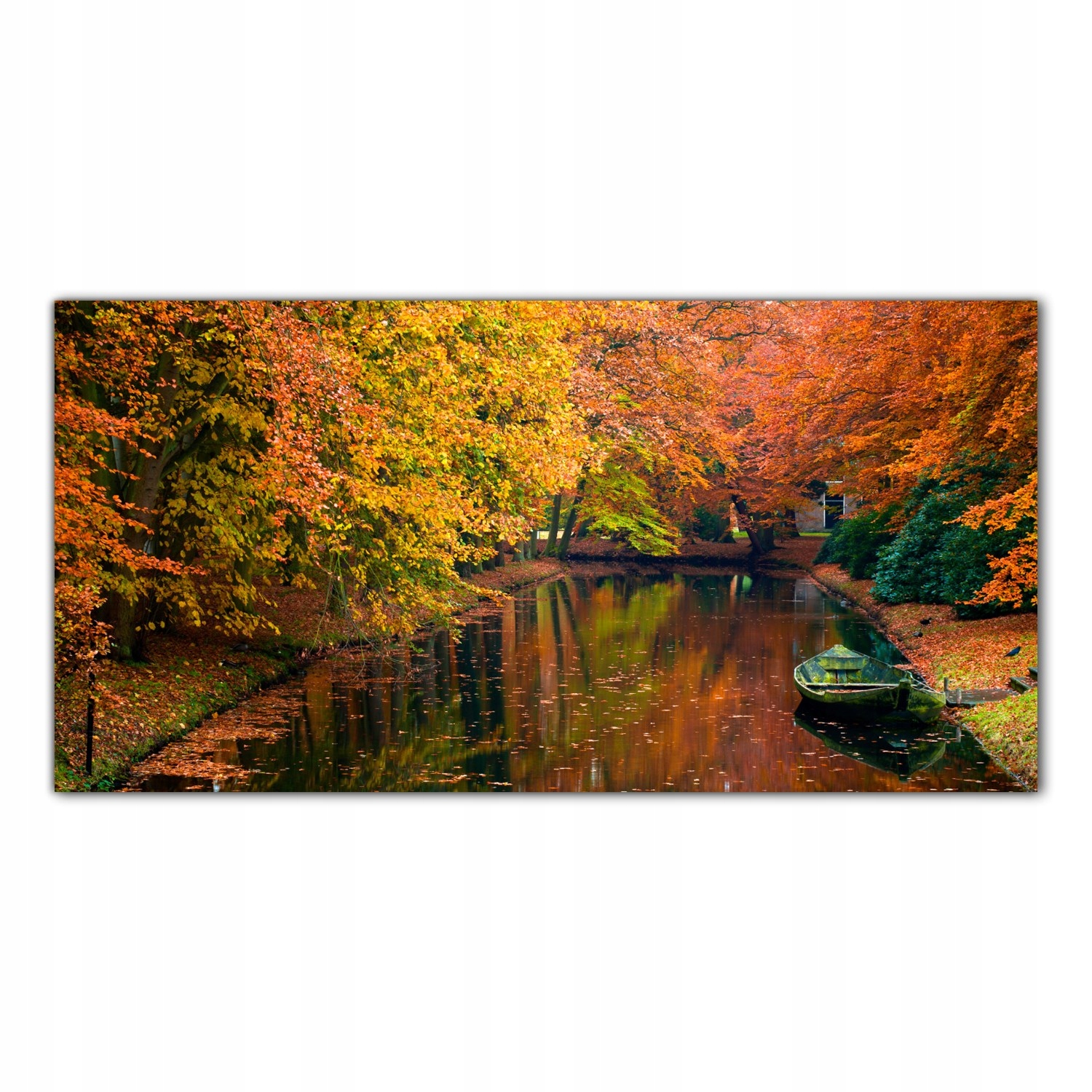 

Obraz Szklany Foto-obraz Jesień Las Drzewa 140x70