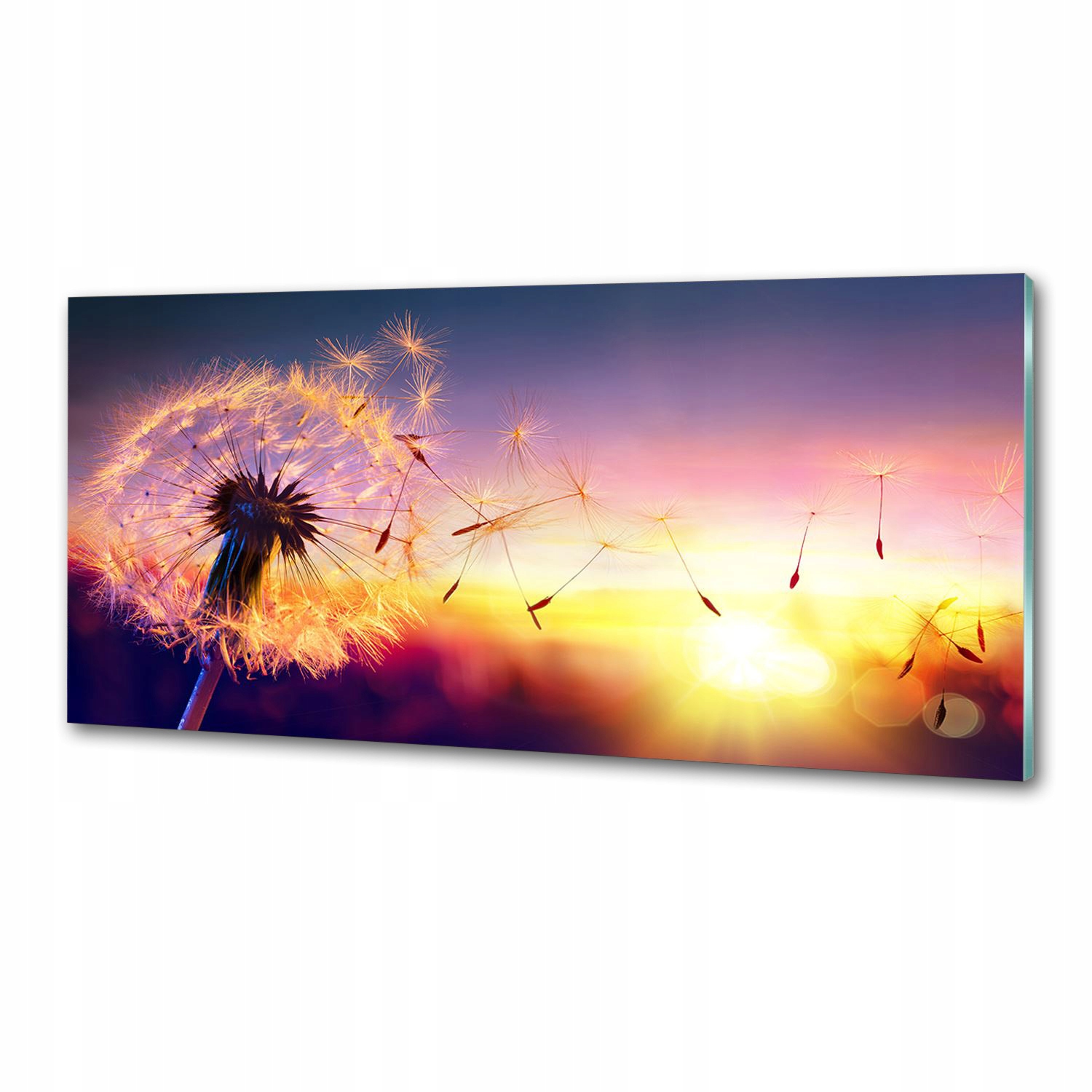 Panel dekor sklo Púpava 125 x 50 cm Lepidlo
