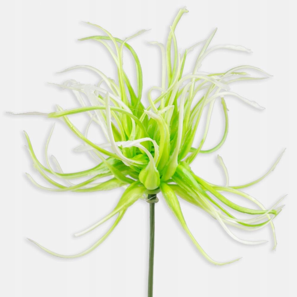 

Oset dekoracyjny Biały