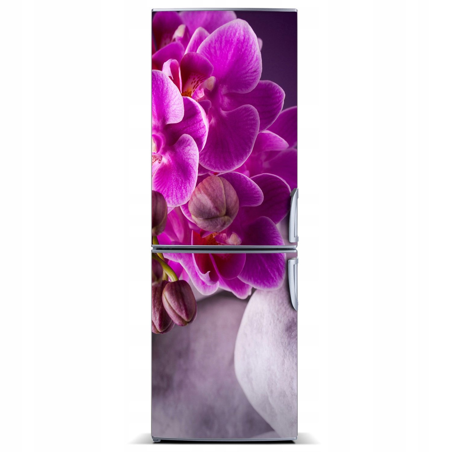 

Naklejka Magnes Magnes Różowa orchidea 60x180