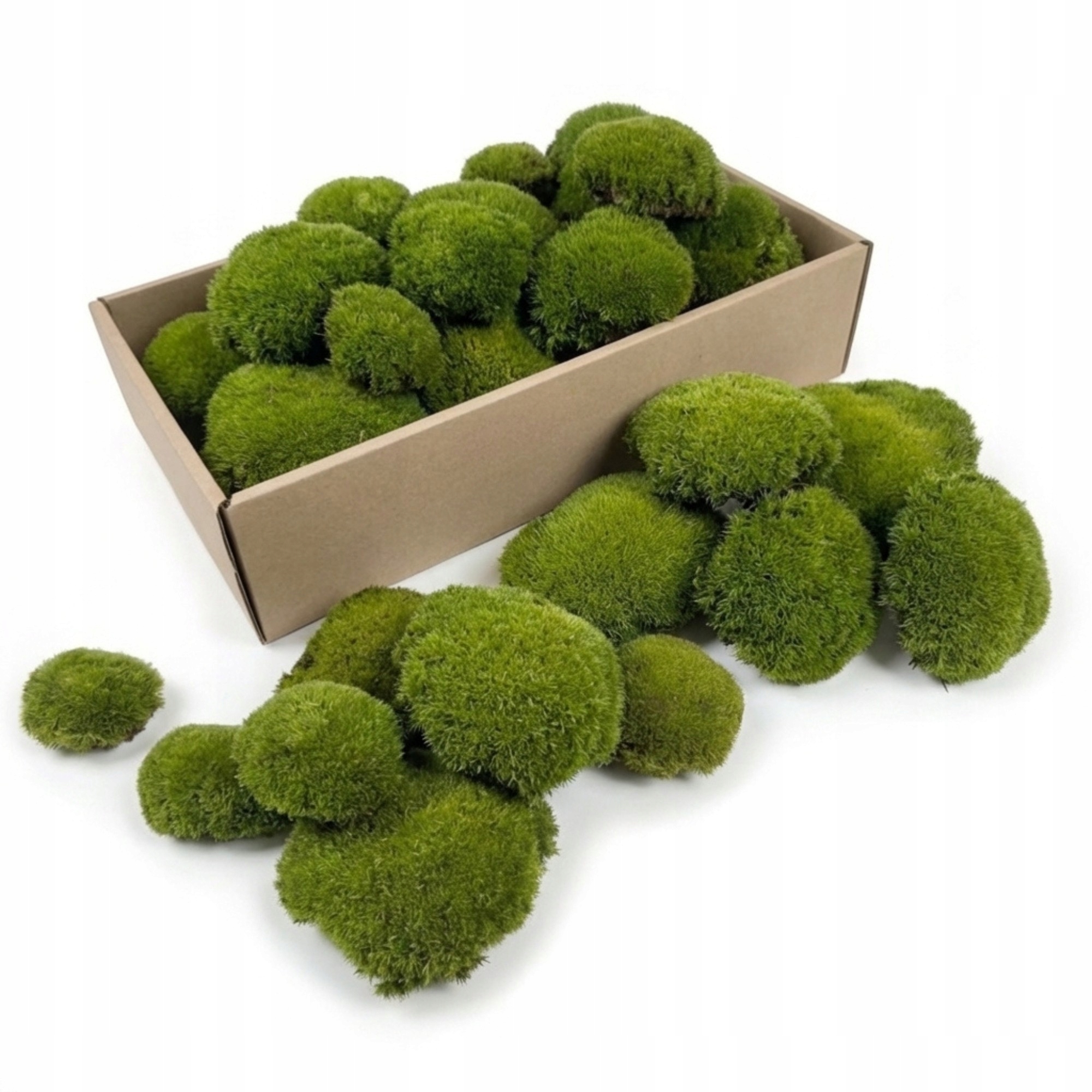 Polštářový mech stabilizovaný světle zelený 130 g dekorativní přírodní Diy