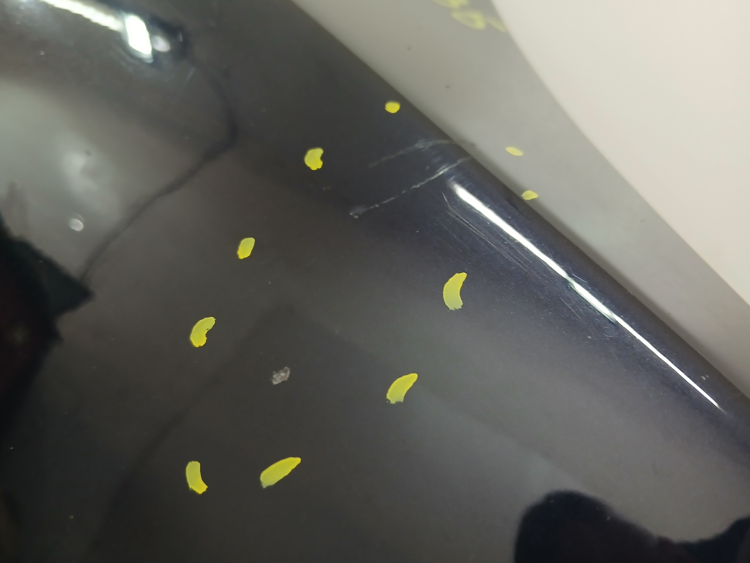 fender right front BMW E60 MONACOBLAU A35/5