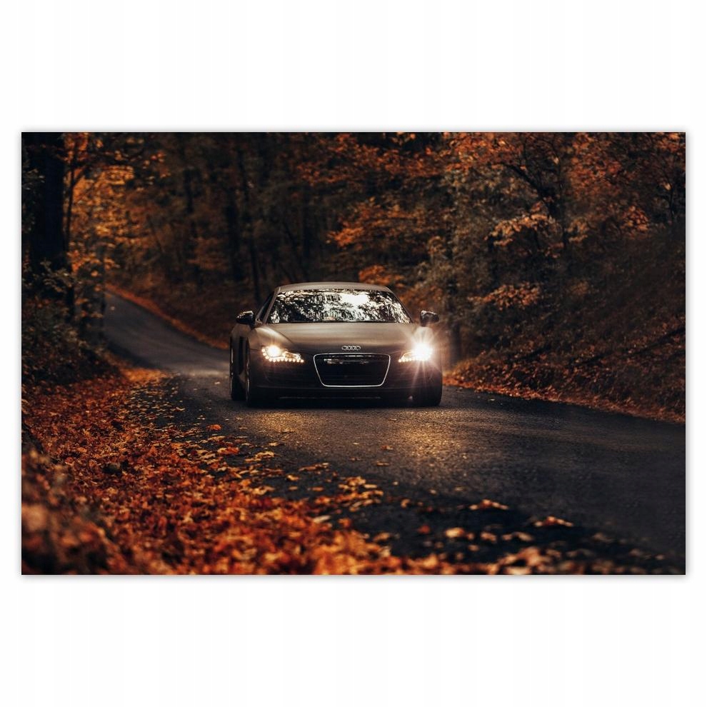

Plakaty 60x40 Audi Jesienny pejzaż