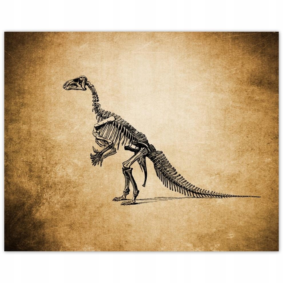 

Plakat 50x40 Dinozaur Prehistoria Dino
