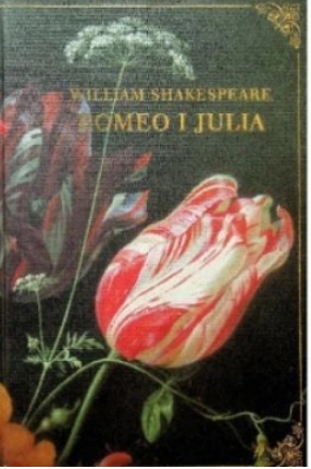 Romeo i Julia William Shakespeare Romanse wszech czasów Tom 58