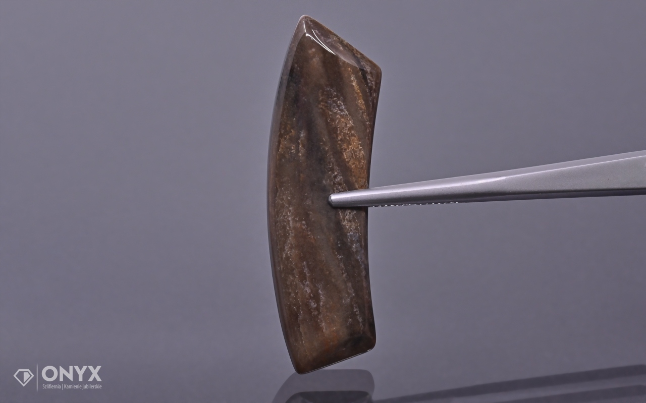 Dřevo fosilní konvexní nepravidelná dlažba 47x14 mm