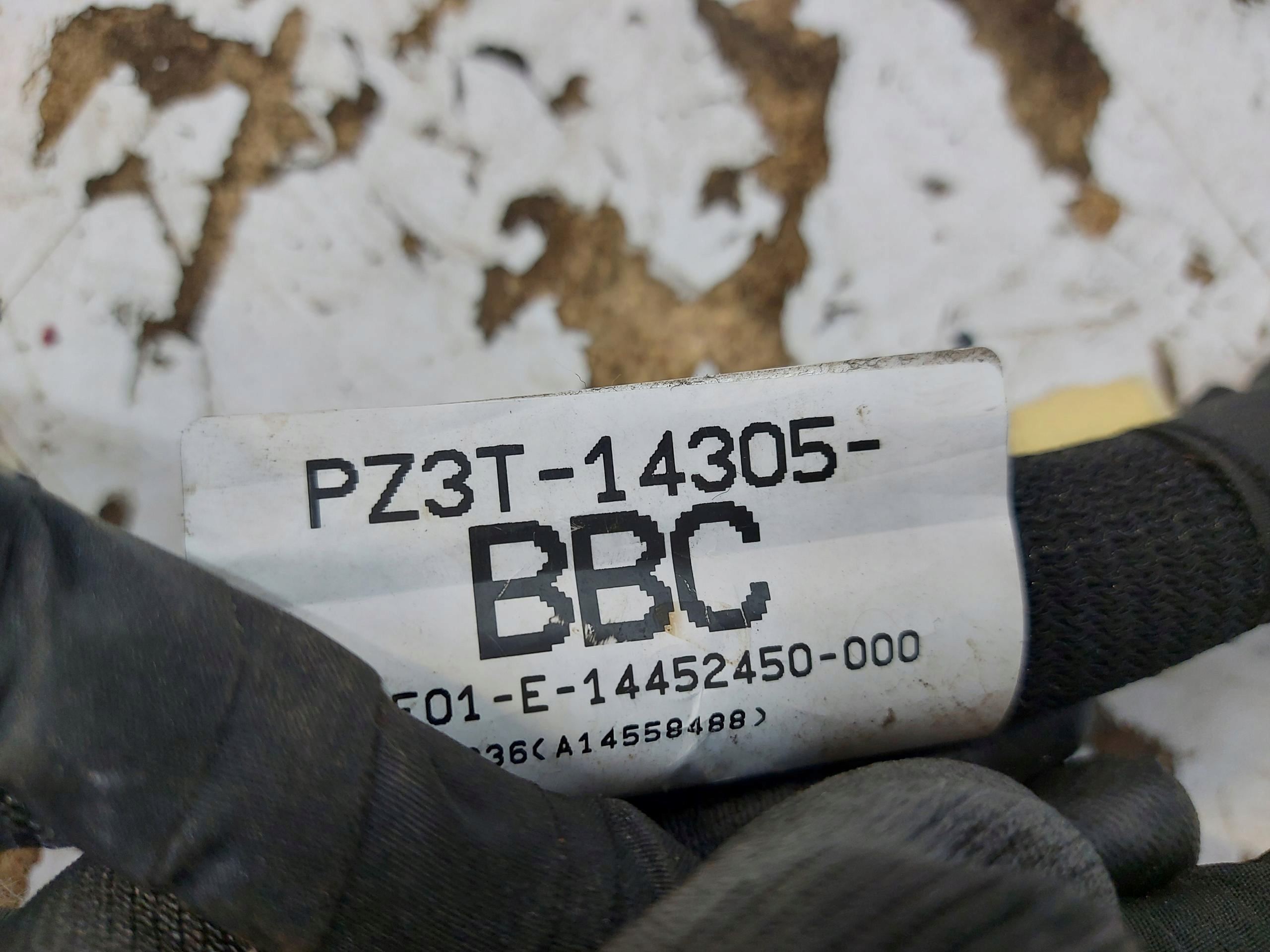 Transit Custom II 2024 bundle wiring for engine of the engine pz3t-14305-bbc