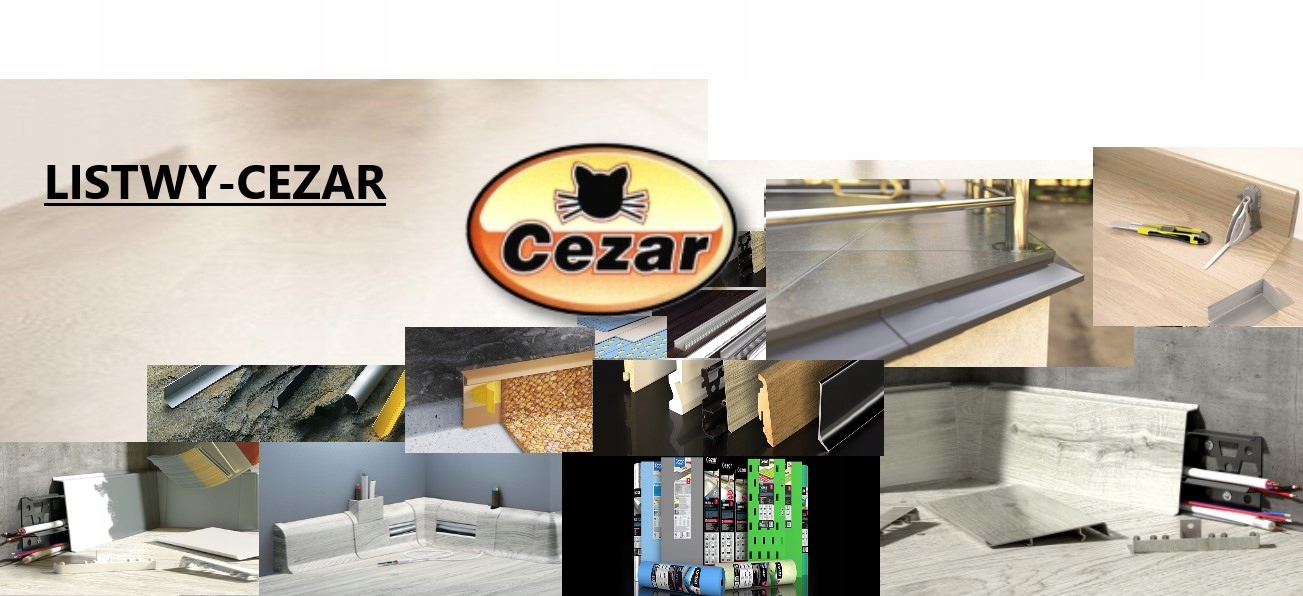 PROFIL T 25 STAL NIERDZEWNA 2.5m Długość 250 cm