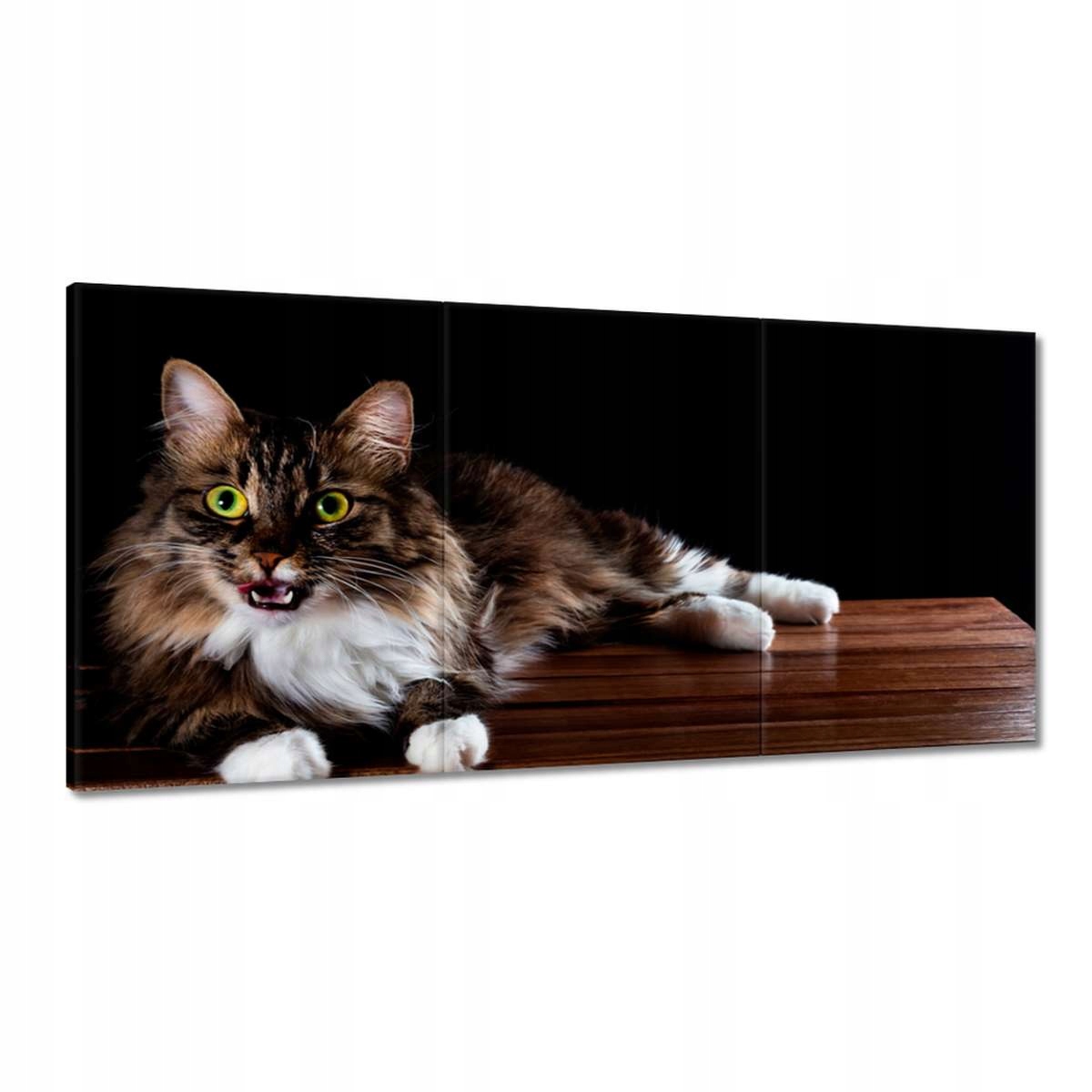 Obrazy 180x90 Krásna dlhosrstá mačka
