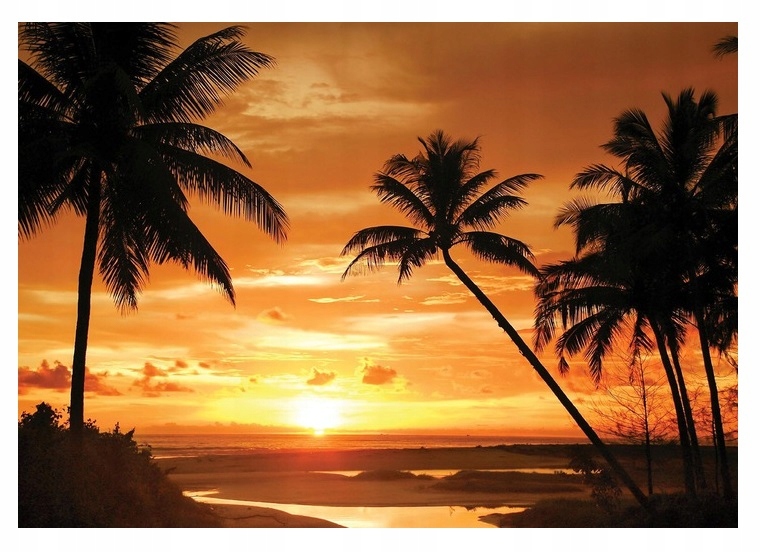 Fototapeta More Pláž Palmy Pohľad Nebo 368x254