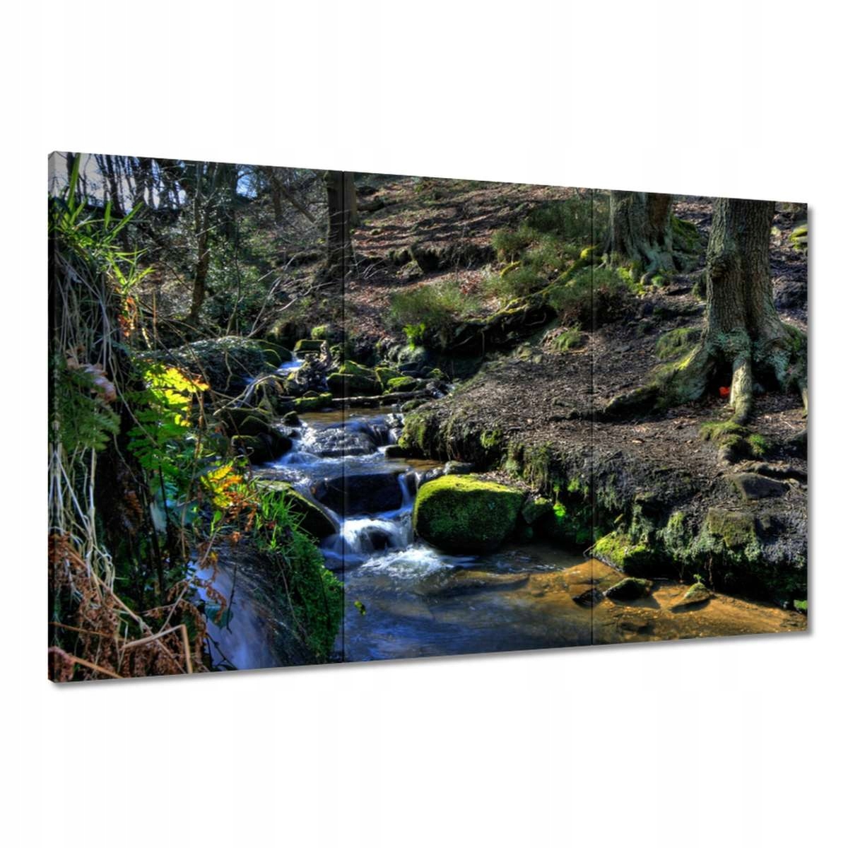 Obrazy 120x80 Horský potůček