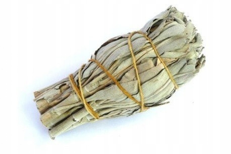 Kadzidło BIAŁA SZAŁWIA duży Pęczek 30g Marka inna