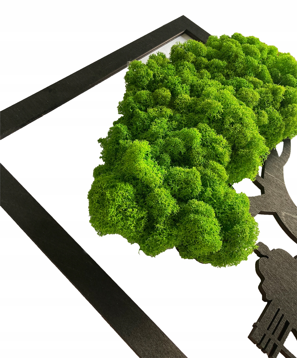 Drzewko NA PREZENT mech chrobotek OBRAZ na ściane drzewko BONSAI ładny Rodzaj mech chrobotek