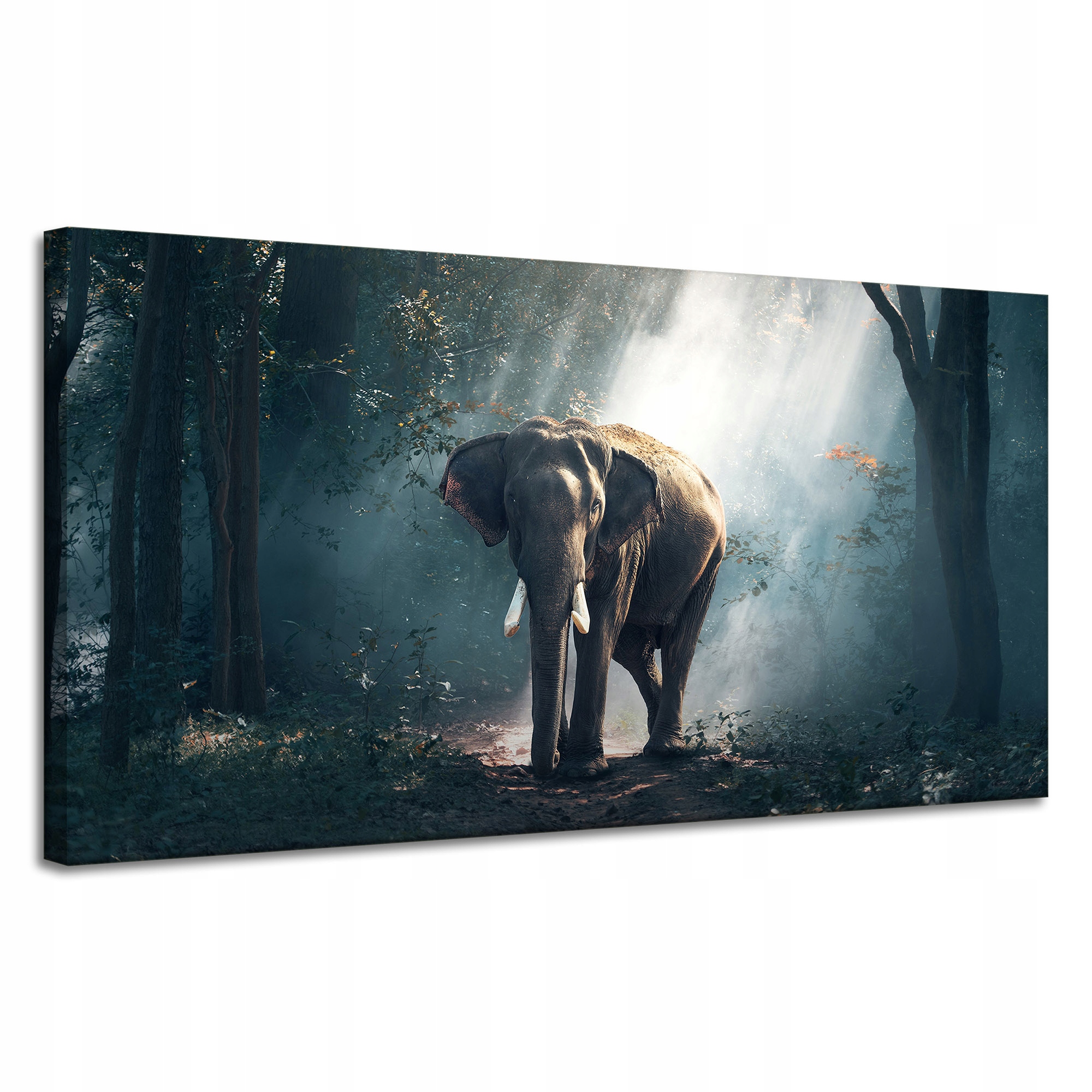 Obrazy na plátně Zvířata Slon africký 120x60