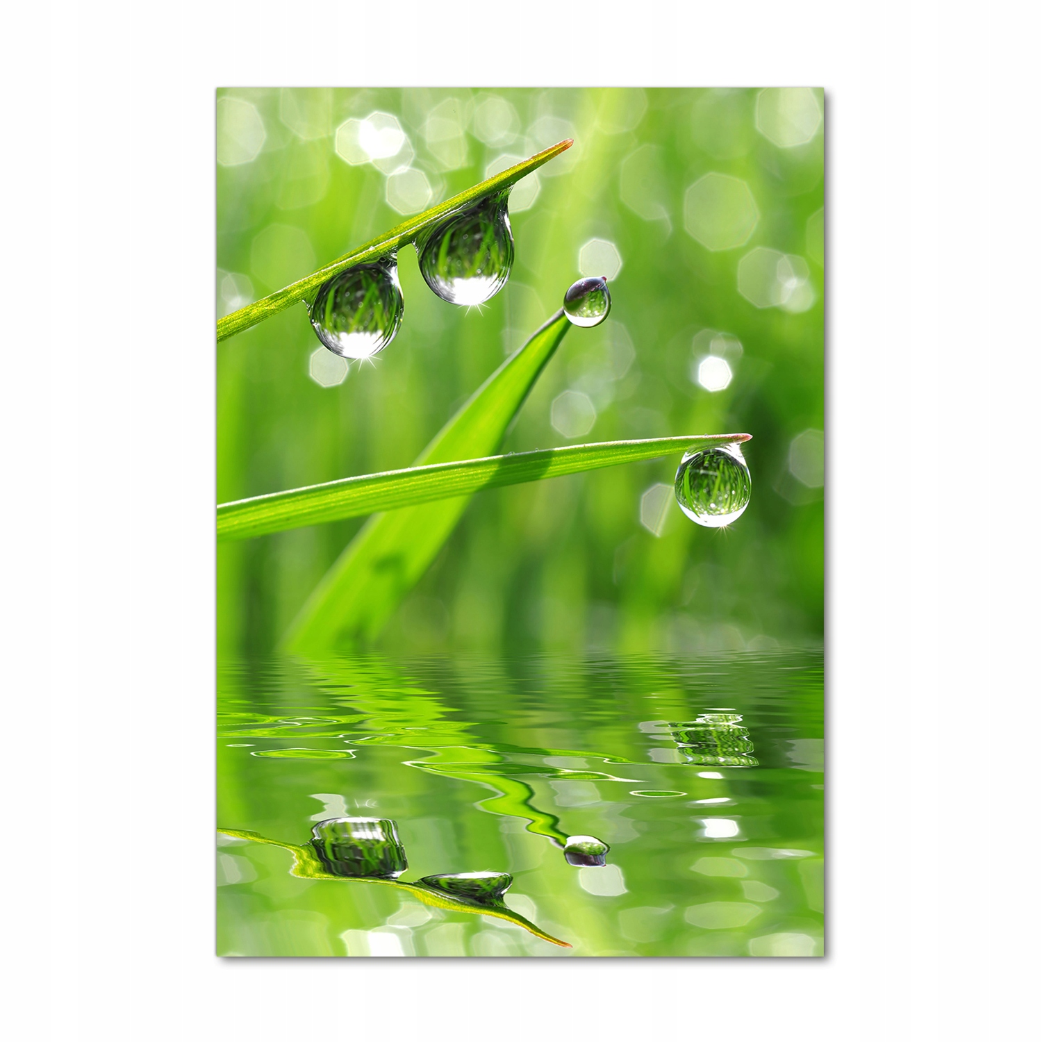 

Foto obraz szkło hartowane Źdźbła trawy 70x100 cm