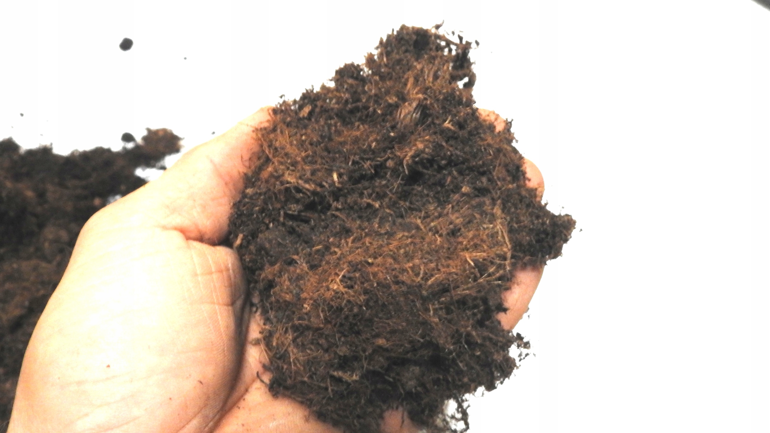 TORF KWAŚNY OCZKO WODNE 20 L ANTYGLON + KAMIEŃ NATURALNY ANTYGLON Marka TORF