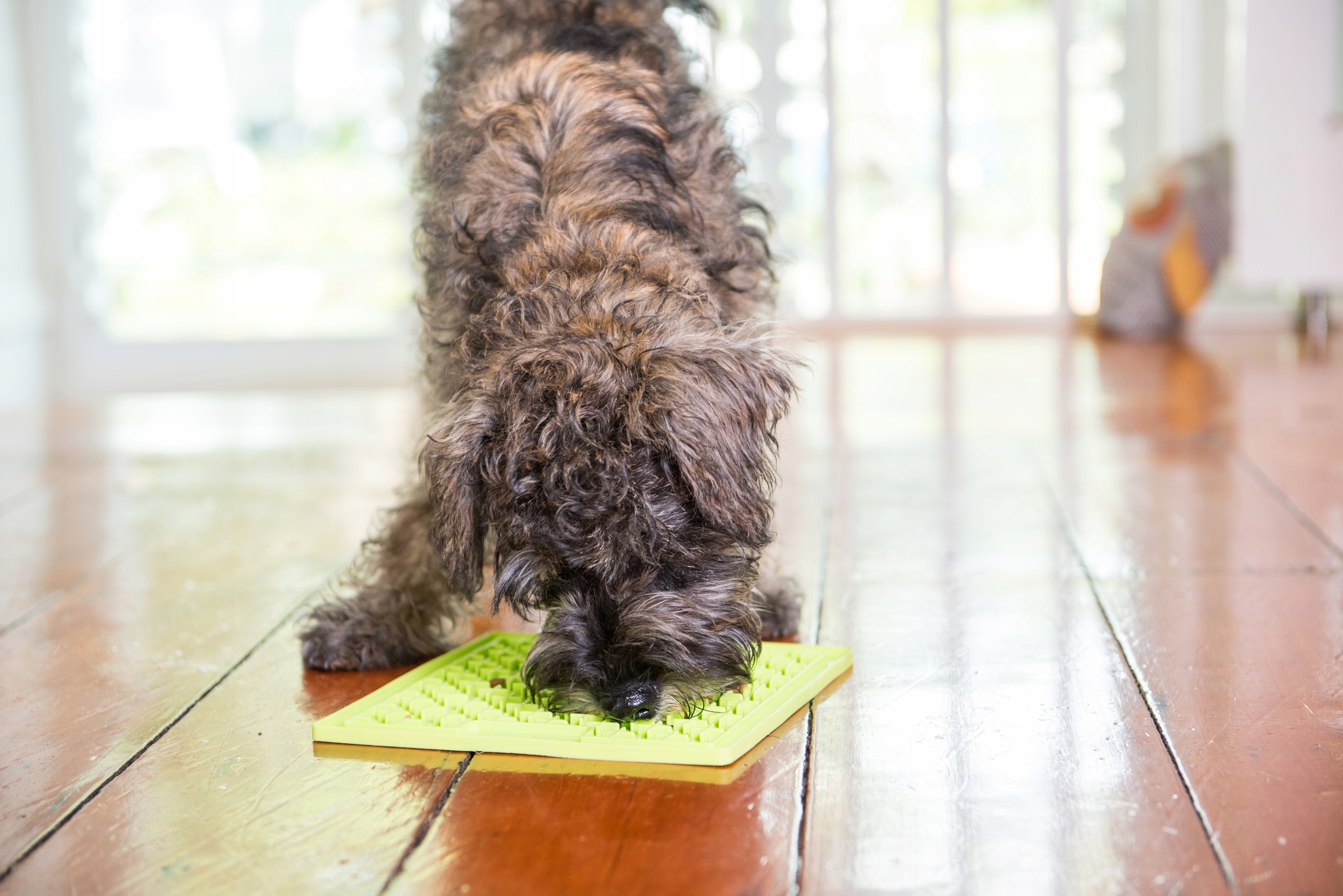 Mata SOOTHER CLASSIC LickiMat zielony Rodzaj pojedyncza miska