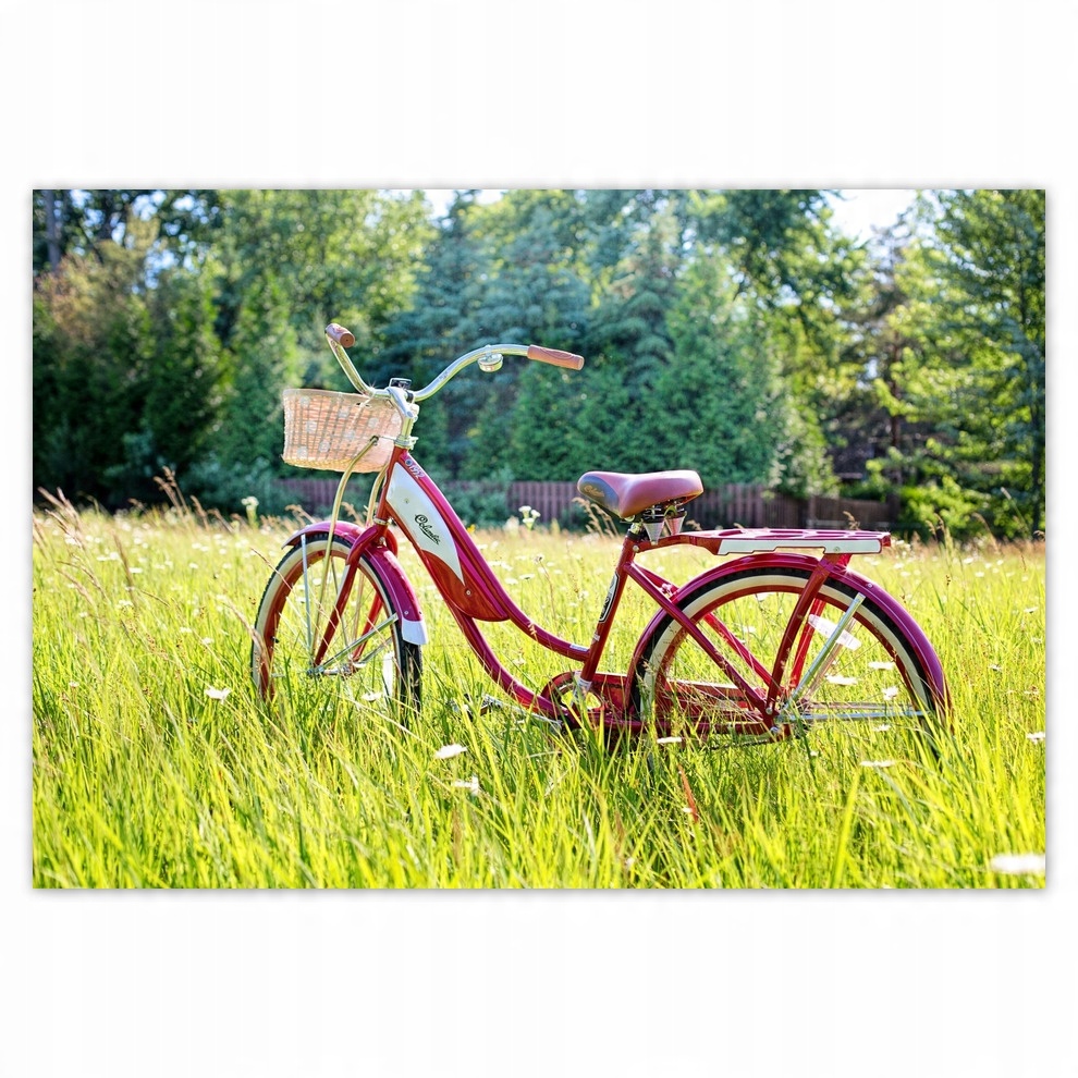 

Fototapety flizelina 368x254 Rowery Rowerki