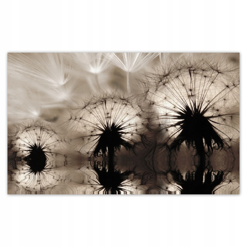 

Fototapety flizelina 416x254 Dmuchawce