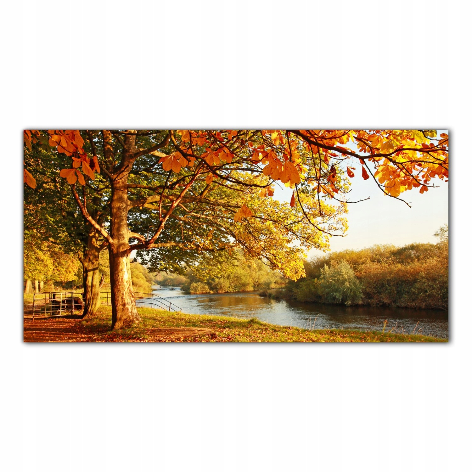 Jeseň Park Krajina 100x50 Panel sklo do kuchyne