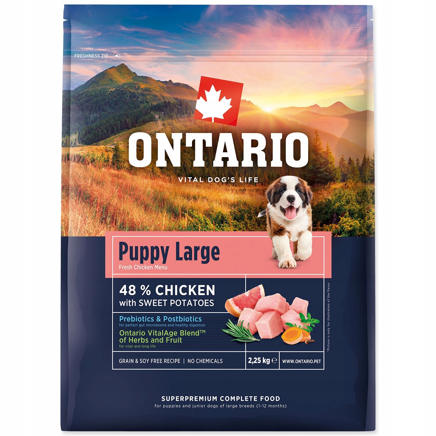Levně Krmivo Ontario Puppy & Junior Large Chicken & Sweet Potatoes 2,25kg