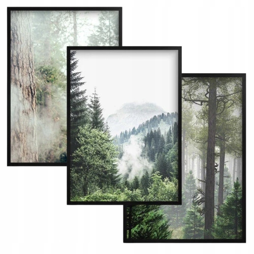 Plakáty 50x70 do obývacího pokoje, kanceláře, Obrazy v černém rámu na zeď Stromy Les