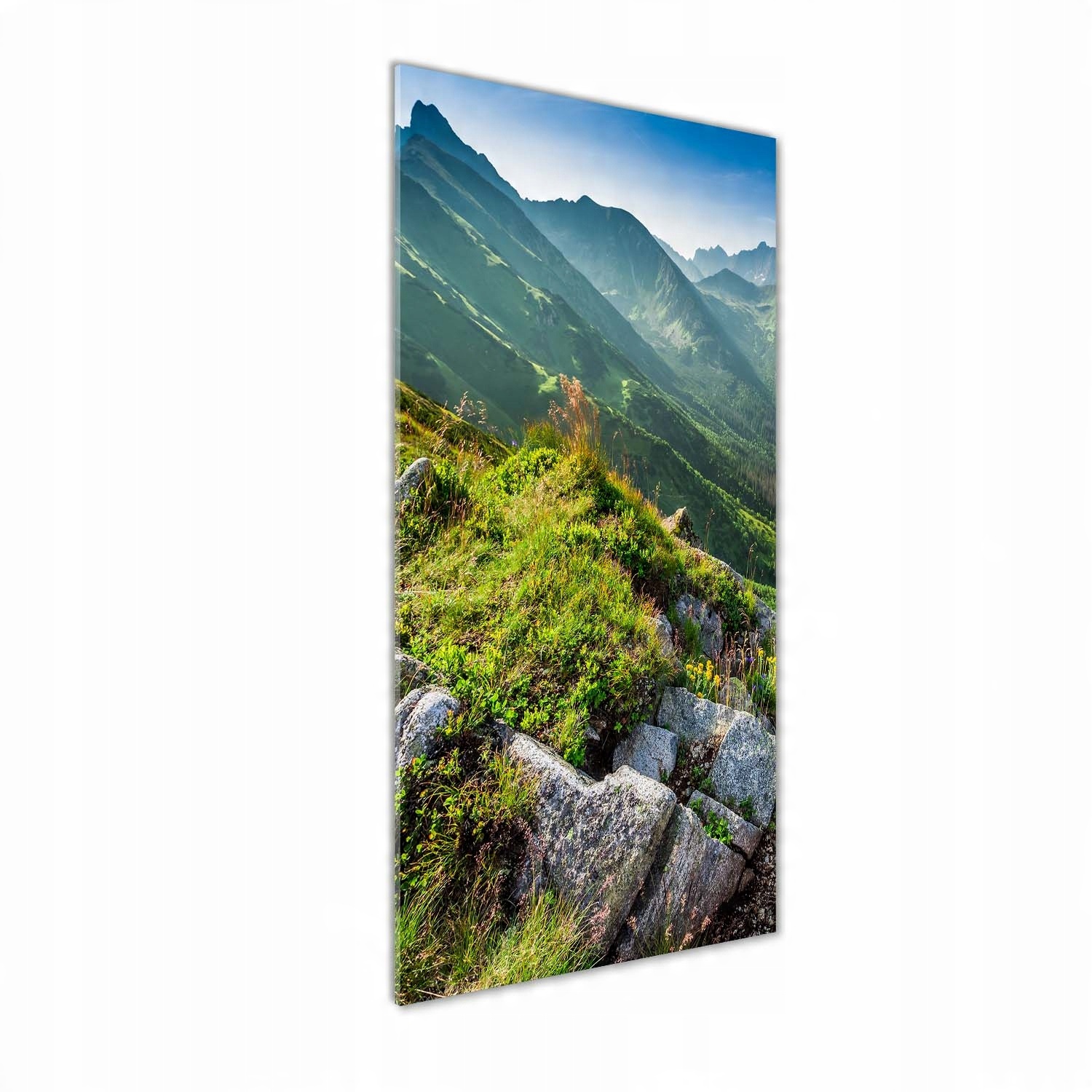 

Foto obraz szkło hartowane Góry latem 50x125 cm