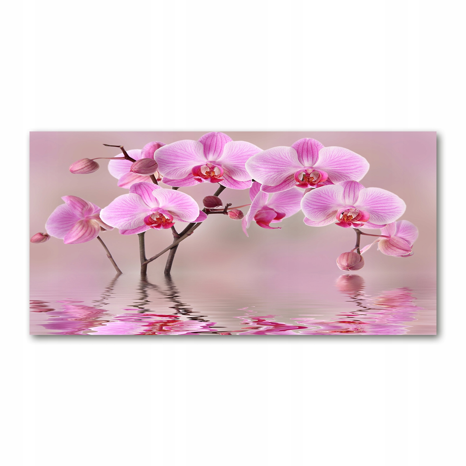 

Fotoobraz na ścianę szklany Różowa orchidea 140x70