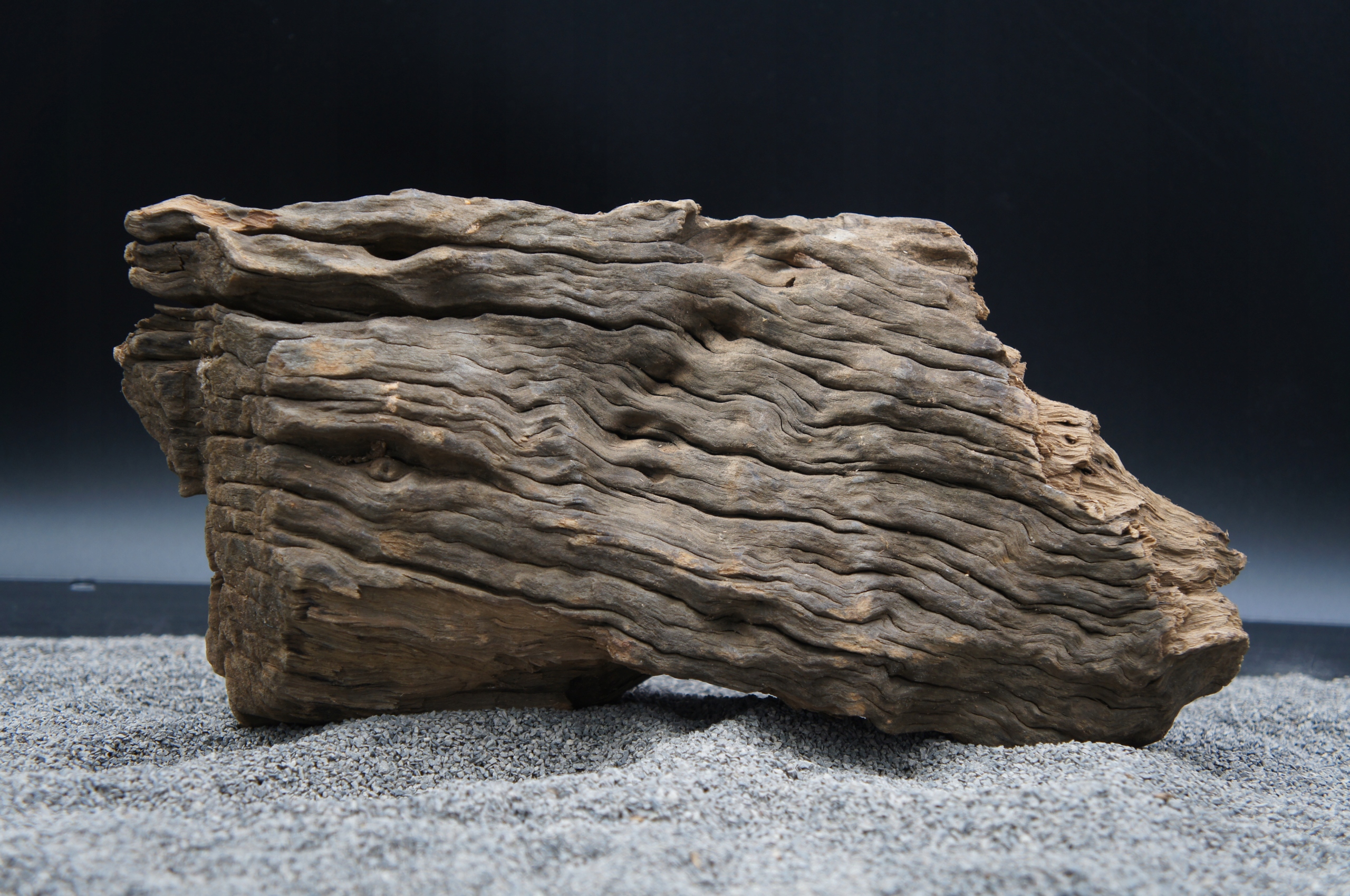 Levně Kořen pro terarijní akvárium Jagged Wood – Přesně Jako Na Obrázku (J45)