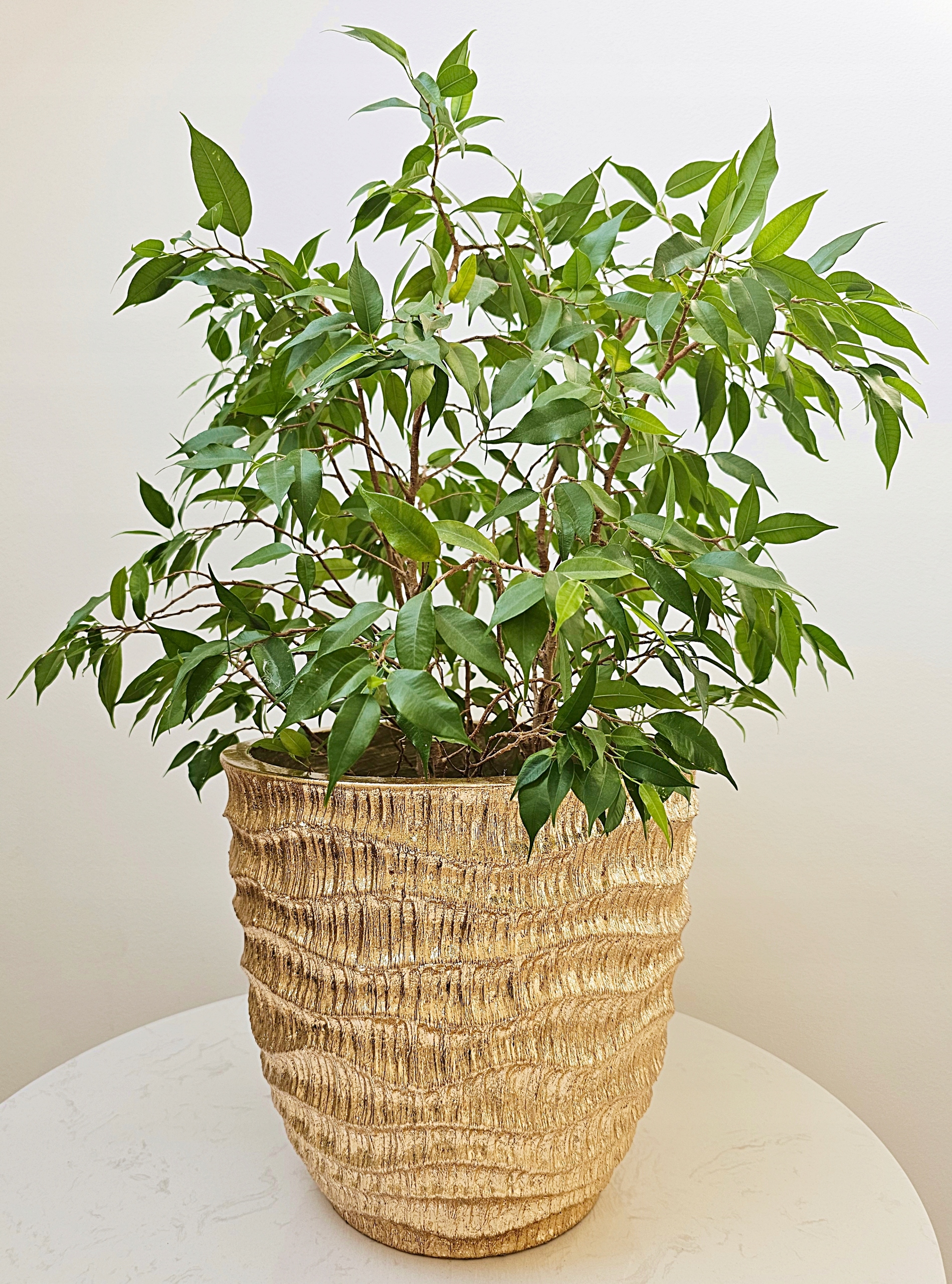 OSŁONKA DONICA 27 CM GOLD DONICZKA 2020-19-S Materiał ceramika