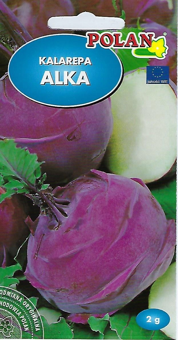 nasiona 5g CEBULA POLANOWSKA PN3523 — 7