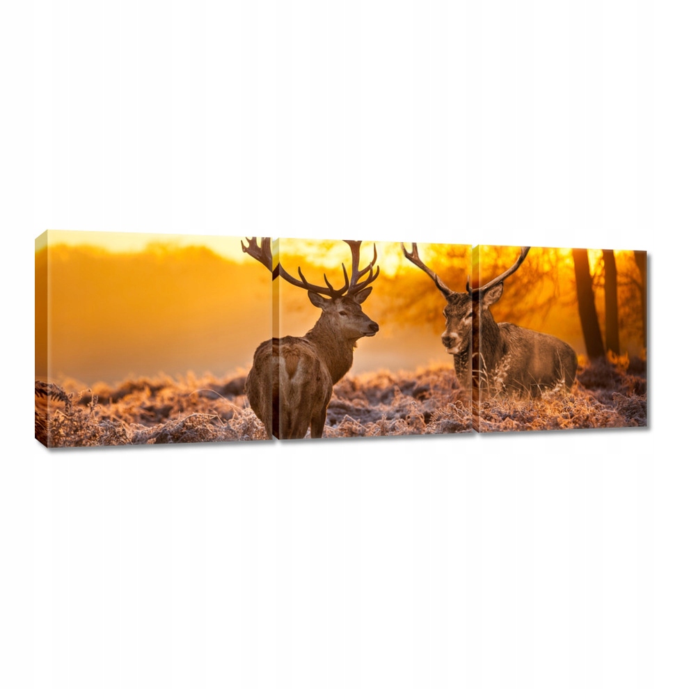 

Obrazy 120x40 Jelenie o poranku