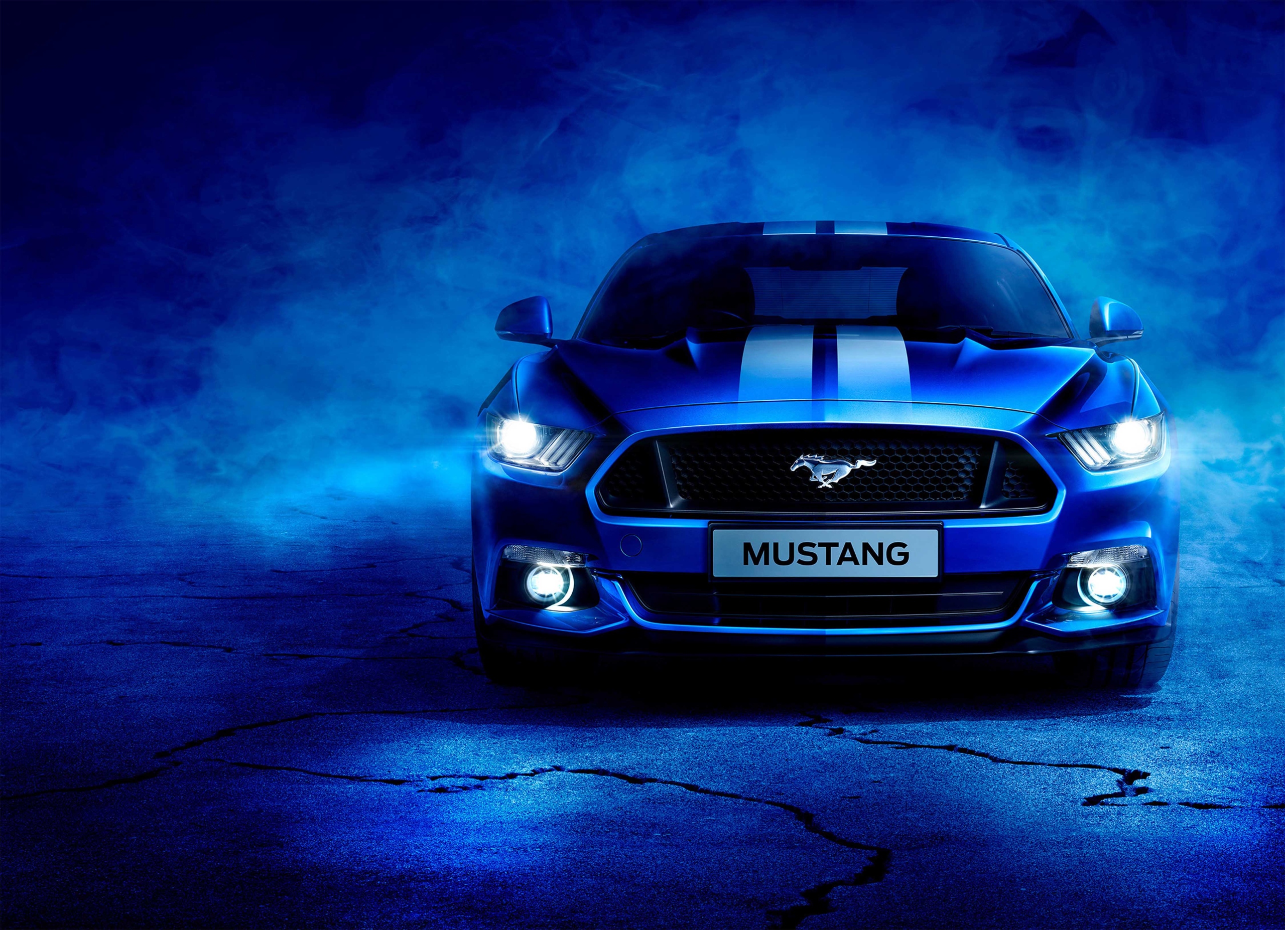 

Fototapeta Ford Mustang 02 254x184