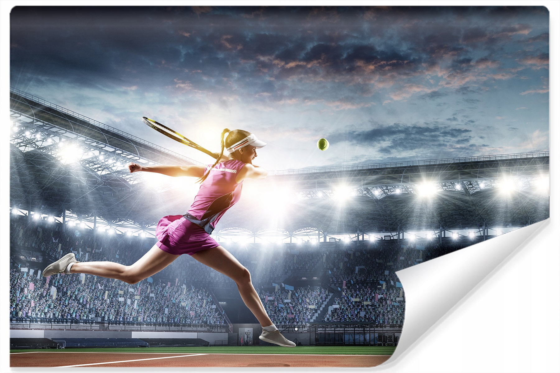

Fototapeta do Garażu Tenisistka Stadion 3D 270x180