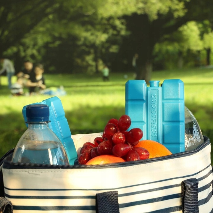 WKŁADY CHŁODZĄCE MROŻĄCE DO LODÓWEK TURYSTYCZNYCH TOREB ZESTAW 6x200ml EAN (GTIN) 5099179001296