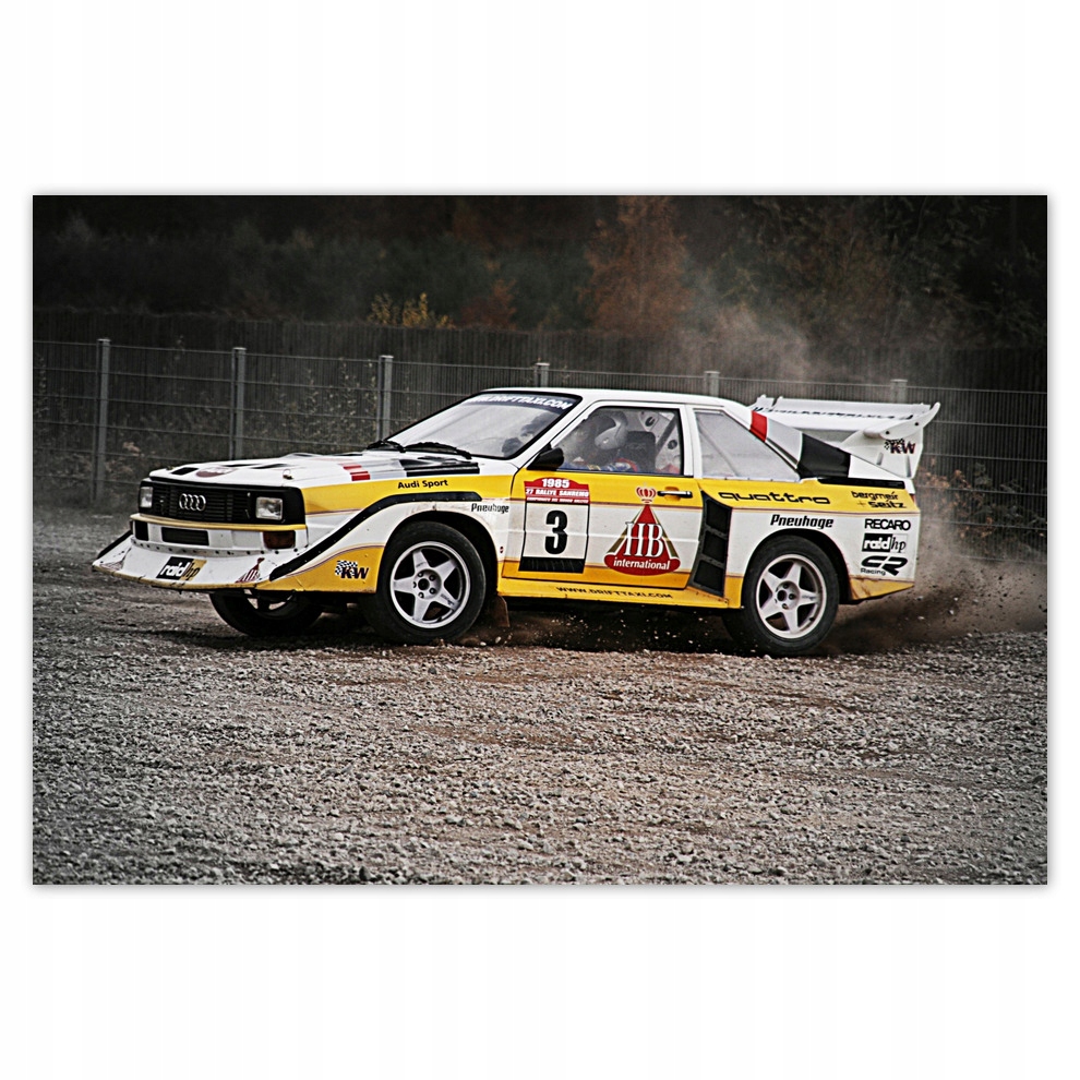 

Fototapety flizelina 104x70 Audi Quattro Drift
