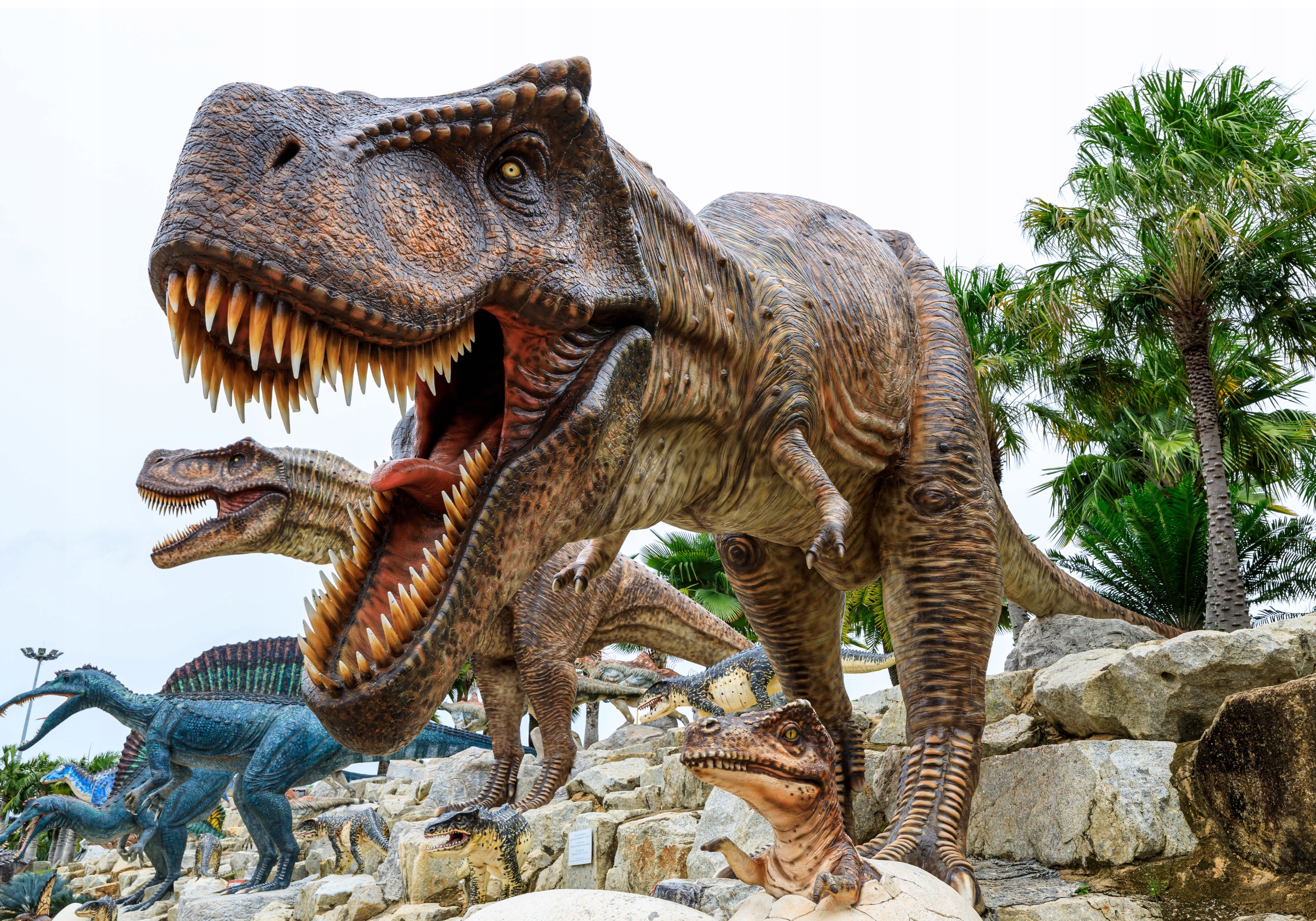 DINOZAURY GUMOWE ZESTAW 7 sztuk 30CM E1188 EMAJ