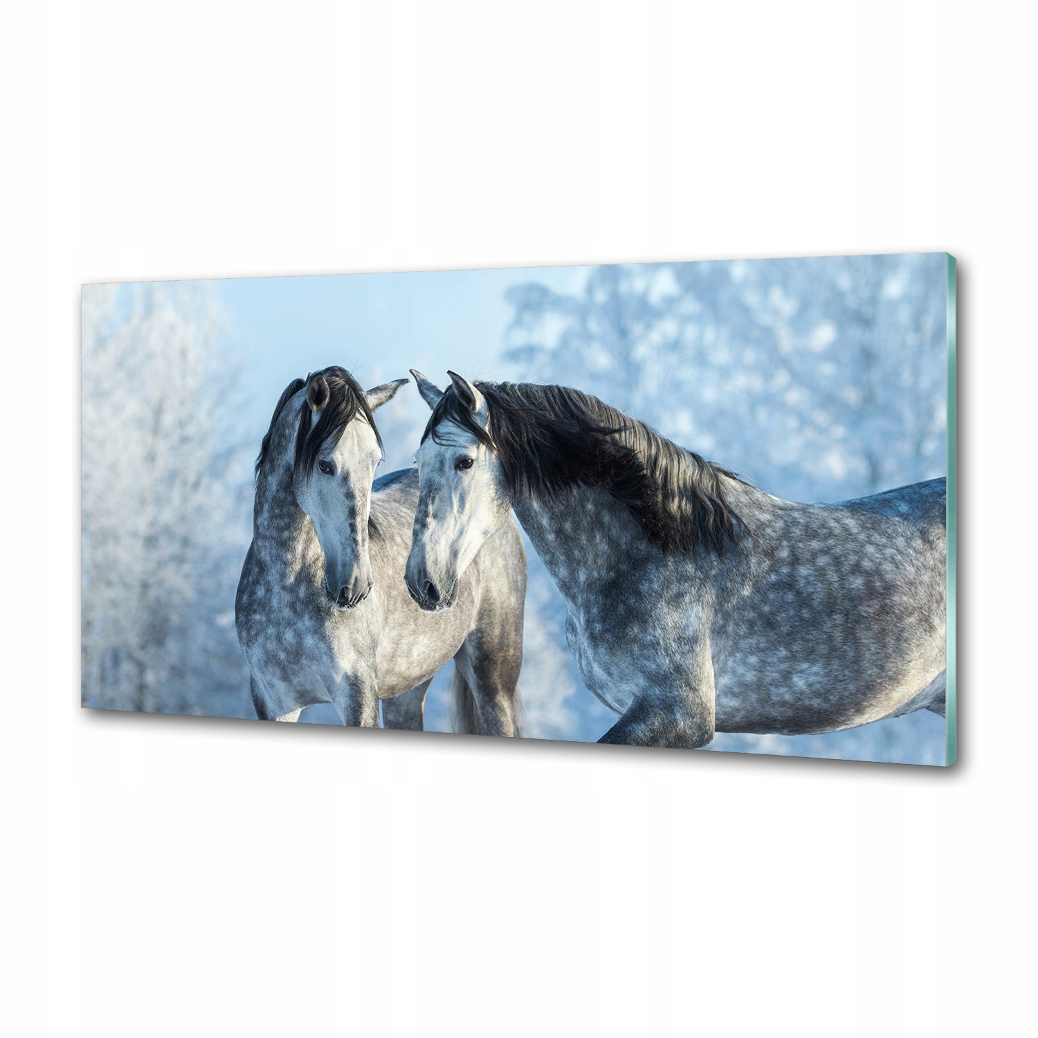 Panel do kuchyně Šedé koně v zimě 120 x 60 cm Lepidlo