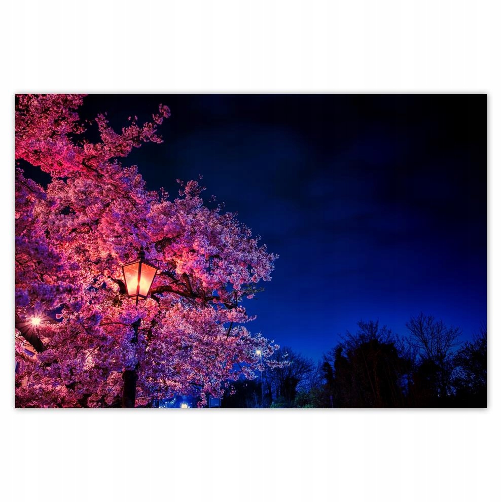 

Plakat 93x62 Motyw do sypialni Lampa