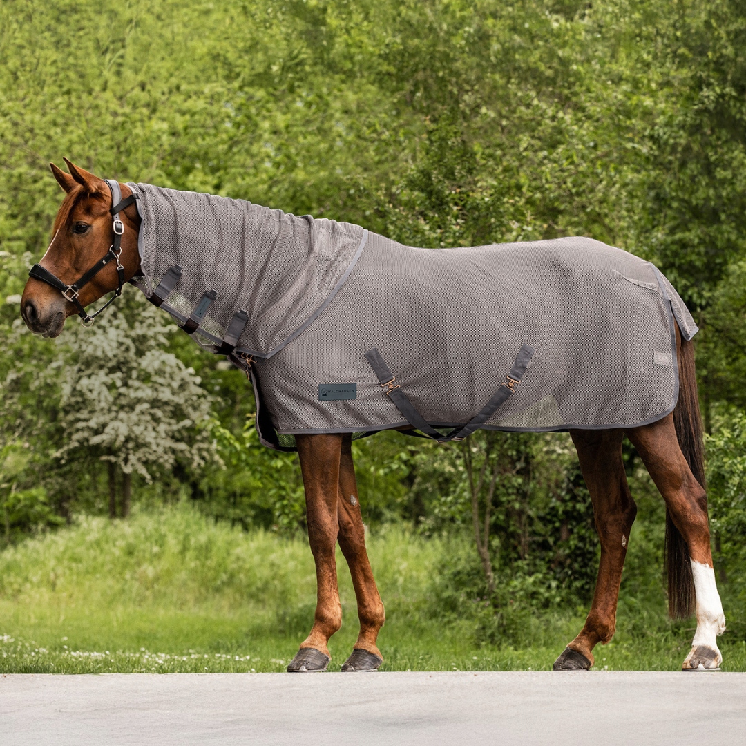 Kołnierz siatkowy Comfort przeciw owadom Waldhausen Cob Szary